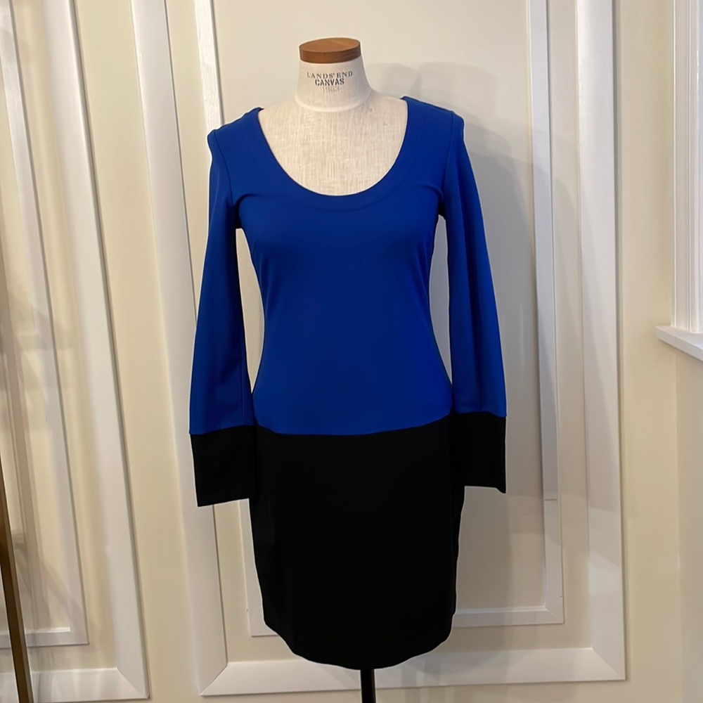 Cobalt & Black Colorblock Fitted Ponte Dress